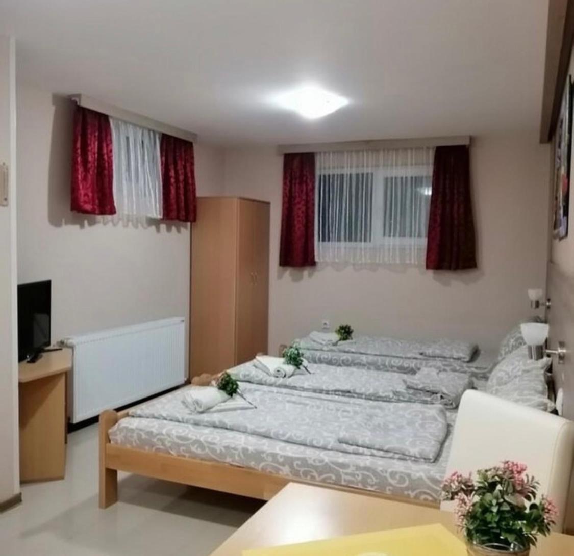 Konak Vila Mirkovic Sokobanja Exterior foto