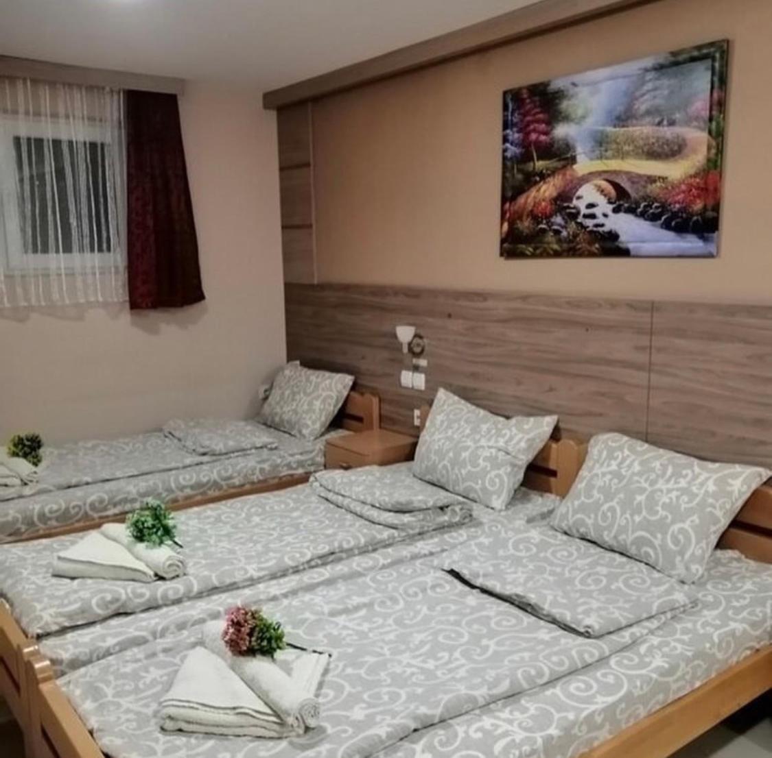 Konak Vila Mirkovic Sokobanja Exterior foto